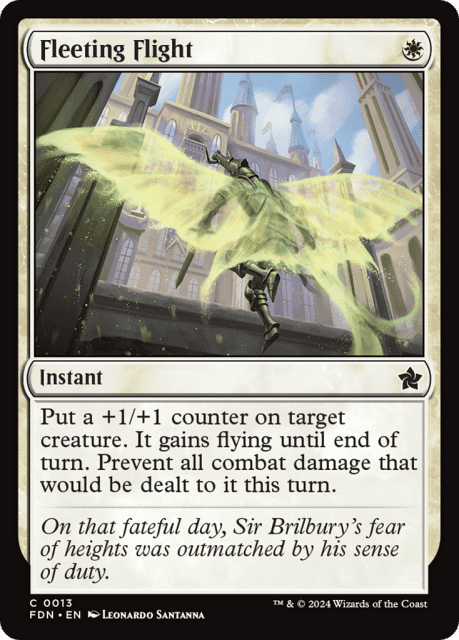 Fleeting Flight (13) — Foundations