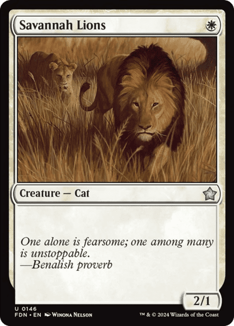 Savannah Lions (146) — Foundations