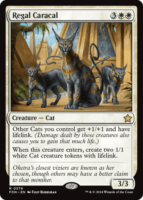 Regal Caracal (579) — Foundations