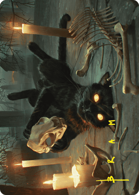 Nine-Lives Familiar (8) — Foundations Art Series