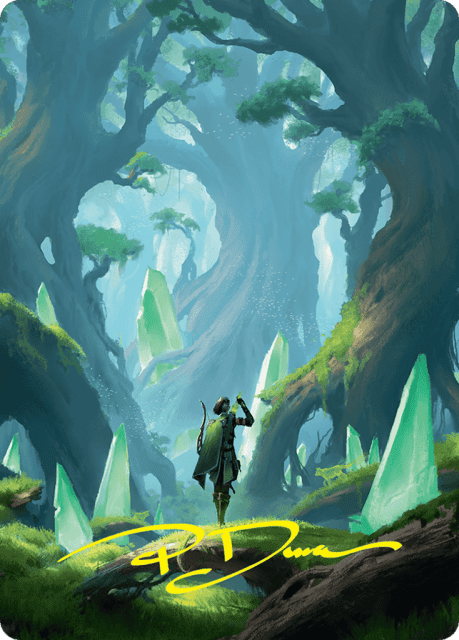 Forest (25) — Foundations Art Series
