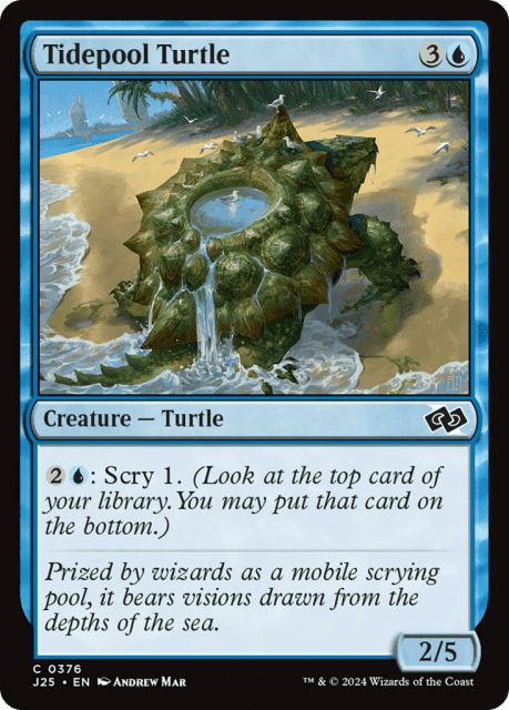 Tidepool Turtle (376) — Foundations Jumpstart