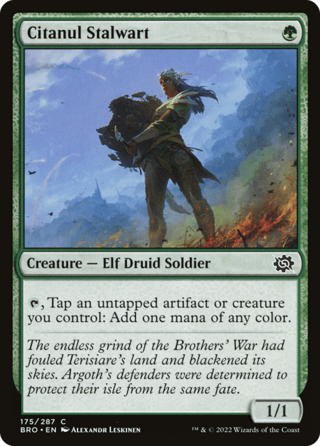 Citanul Stalwart (175) — The Brothers' War