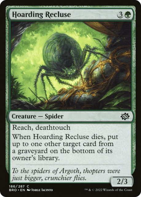 Hoarding Recluse (186) — The Brothers' War