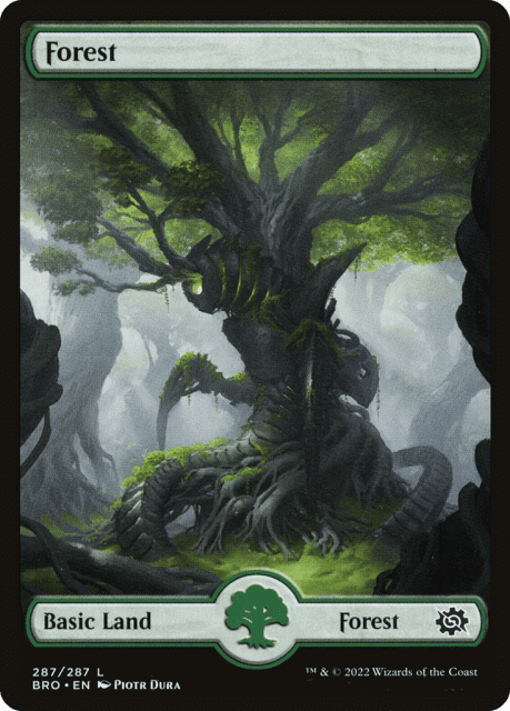 Forest (287) — The Brothers' War