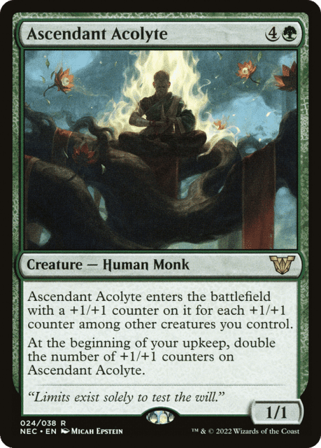 Ascendant Acolyte (24) — Neon Dynasty Commander