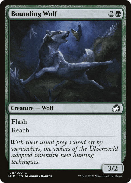 Bounding Wolf (170) — Innistrad: Midnight Hunt
