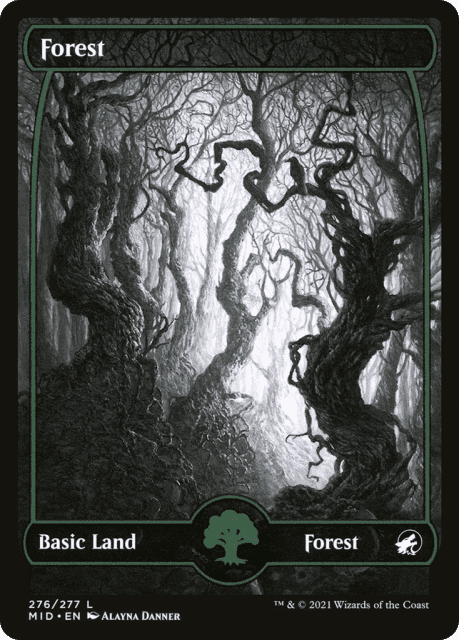 Forest (276) — Innistrad: Midnight Hunt