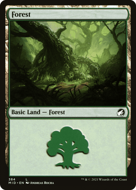 Forest (384) — Innistrad: Midnight Hunt