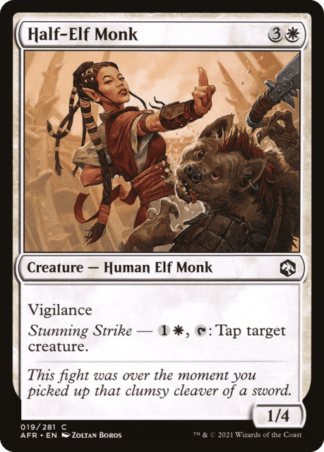 Half-Elf Monk (19) — Adventures in the Forgotten Realms