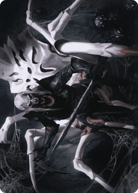 Drider (17) — Adventures in the Forgotten Realms Art Series