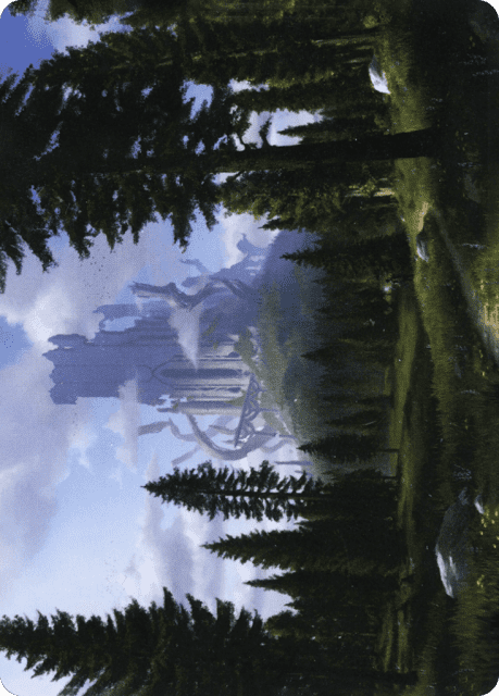 Forest (61) — Adventures in the Forgotten Realms Art Series