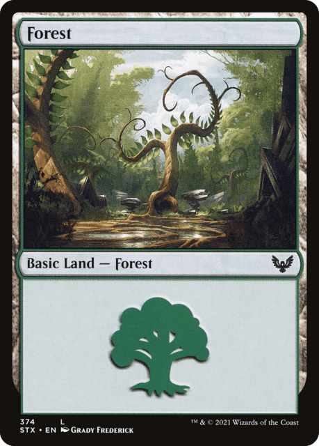 Forest (374) — Strixhaven: School of Mages