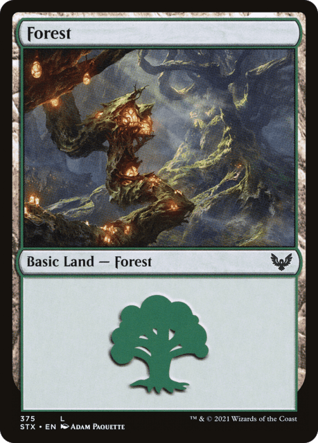 Forest (375) — Strixhaven: School of Mages