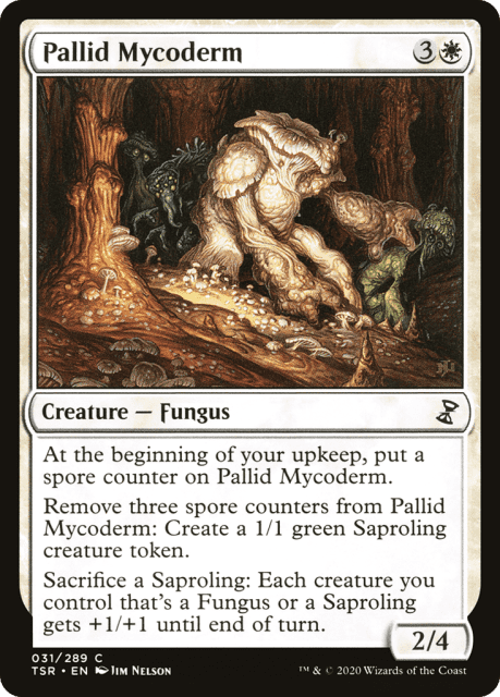 Pallid Mycoderm (31) — Time Spiral Remastered