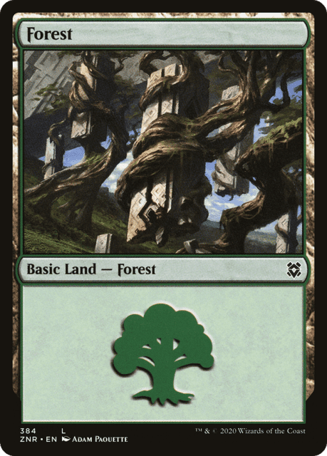 Forest (384) — Zendikar Rising