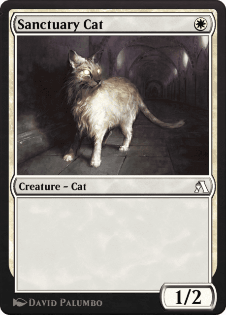 Sanctuary Cat (17) — Arena Beginner Set