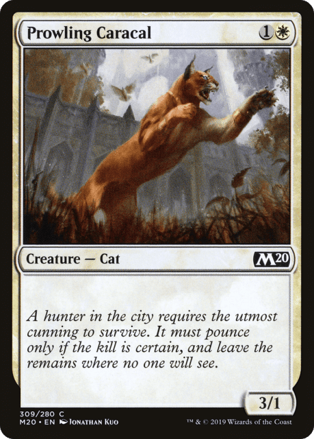Prowling Caracal (309) — Core Set 2020