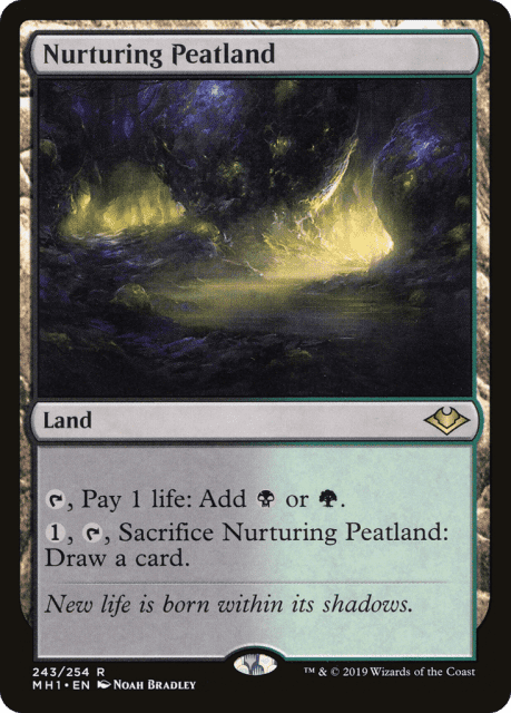 Nurturing Peatland (243) — Modern Horizons