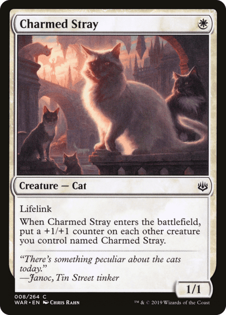 Charmed Stray (8) — War of the Spark
