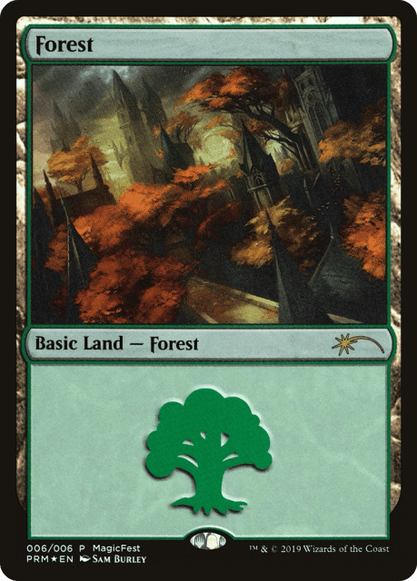 Forest (6) — MagicFest 2019