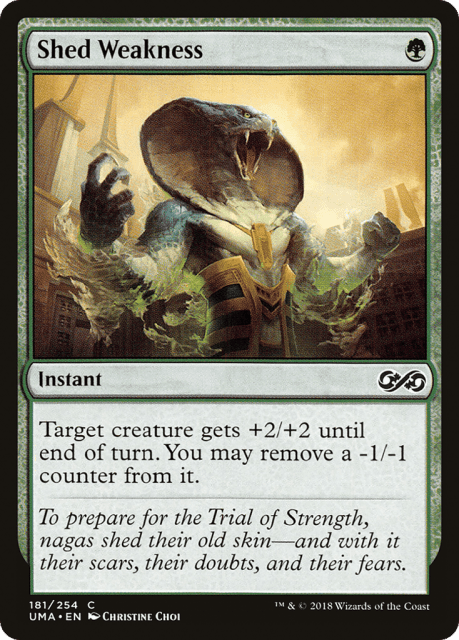 Shed Weakness (181) — Ultimate Masters
