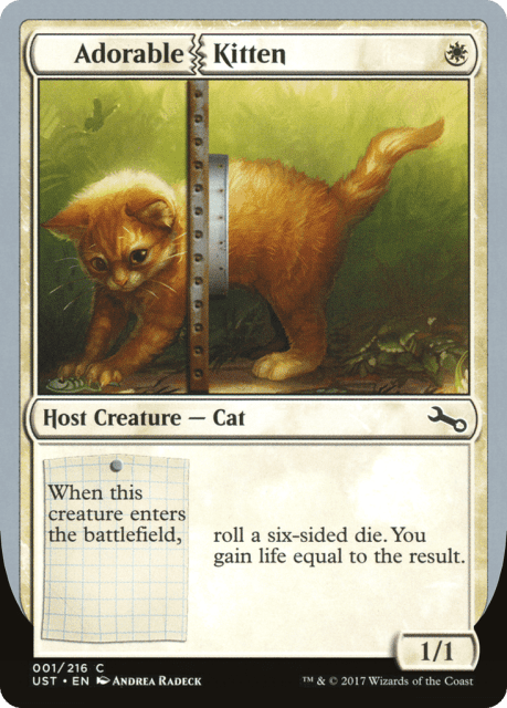 Adorable Kitten (1) — Unstable