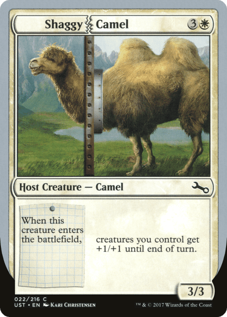 Shaggy Camel (22) — Unstable
