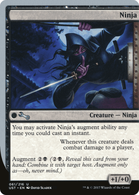 Ninja (61) — Unstable