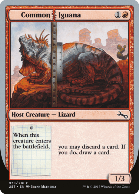 Common Iguana (79) — Unstable
