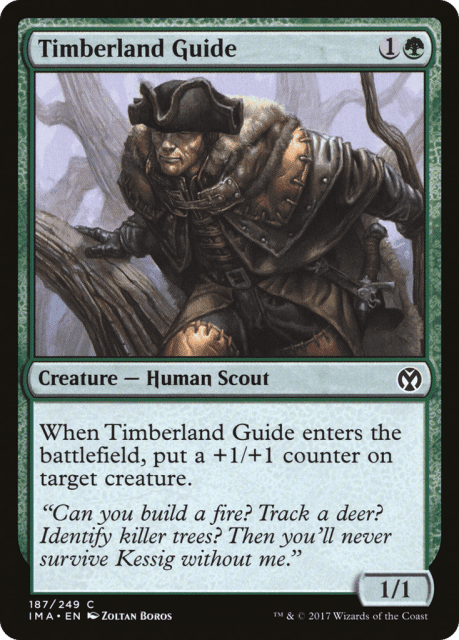 Timberland Guide (187) — Iconic Masters