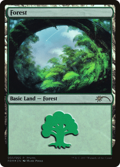 Forest (5) — 2017 Gift Pack