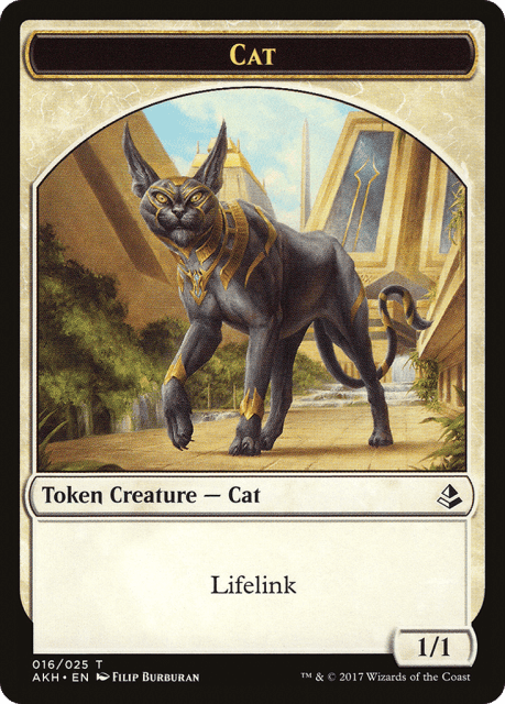 Cat (16) — Amonkhet