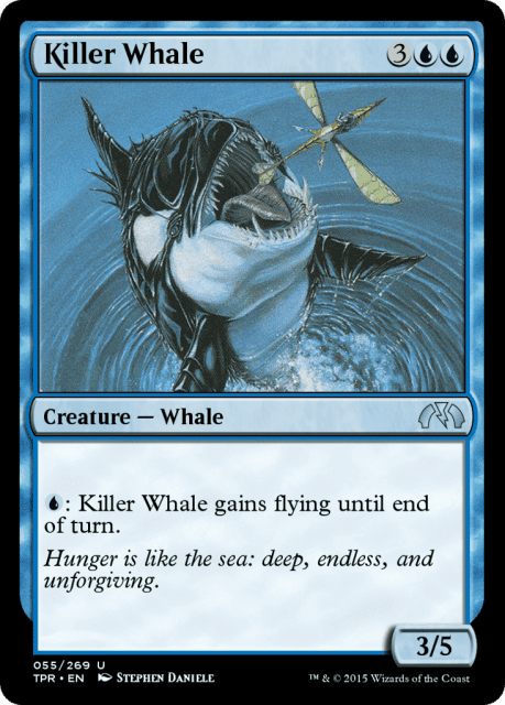 Killer Whale (55) — Tempest Remastered