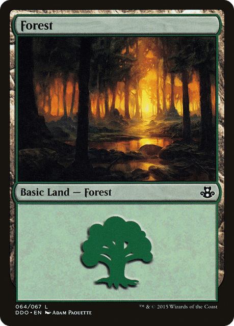 Forest (64) — Duel Decks: Elspeth vs. Kiora