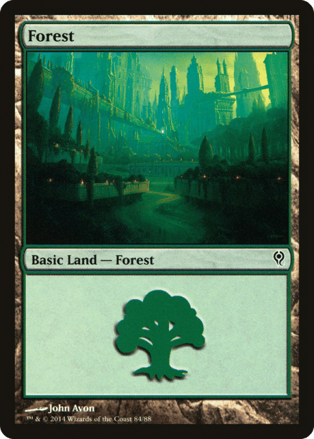Forest (84) — Duel Decks: Jace vs. Vraska