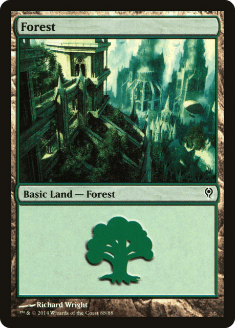 Forest (88) — Duel Decks: Jace vs. Vraska