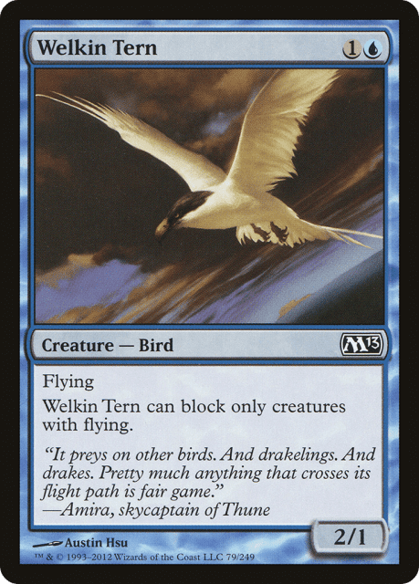 Welkin Tern (79) — Magic 2013