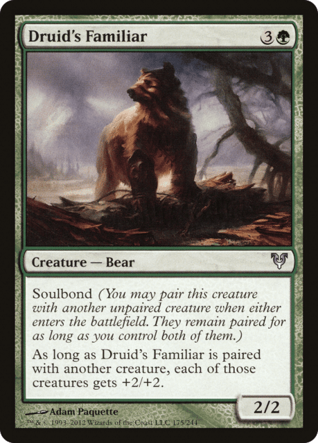 Druid's Familiar (175) — Avacyn Restored