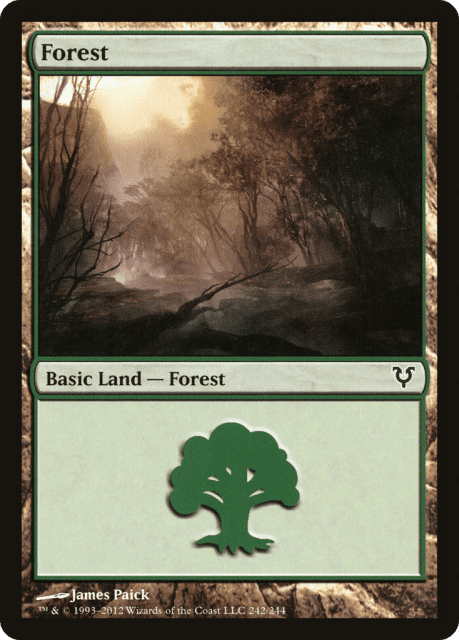 Forest (242) — Avacyn Restored