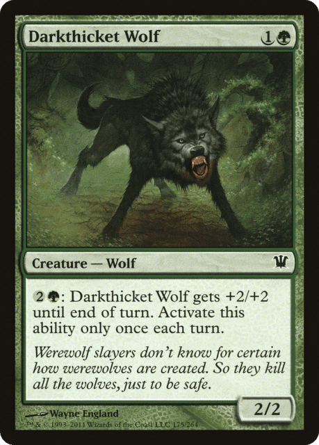 Darkthicket Wolf (175) — Innistrad