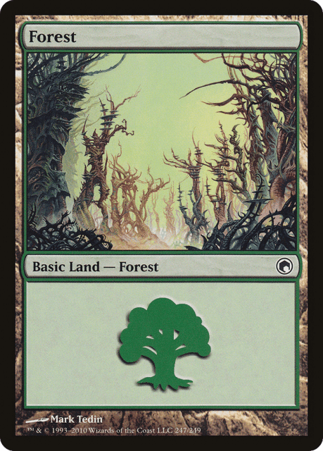 Forest (247) — Scars of Mirrodin