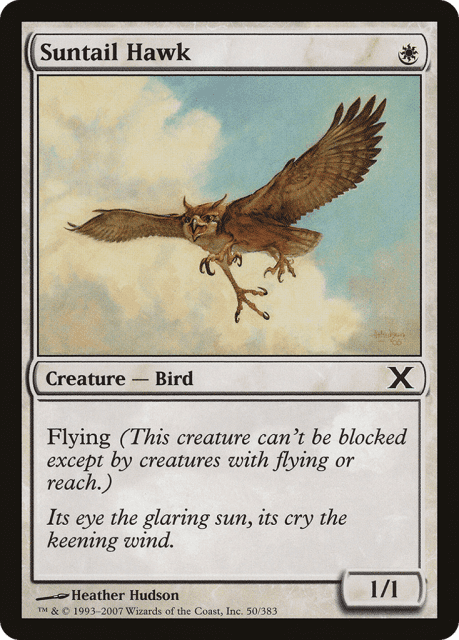 Suntail Hawk (50) — Tenth Edition