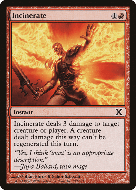 Incinerate (213) — Tenth Edition