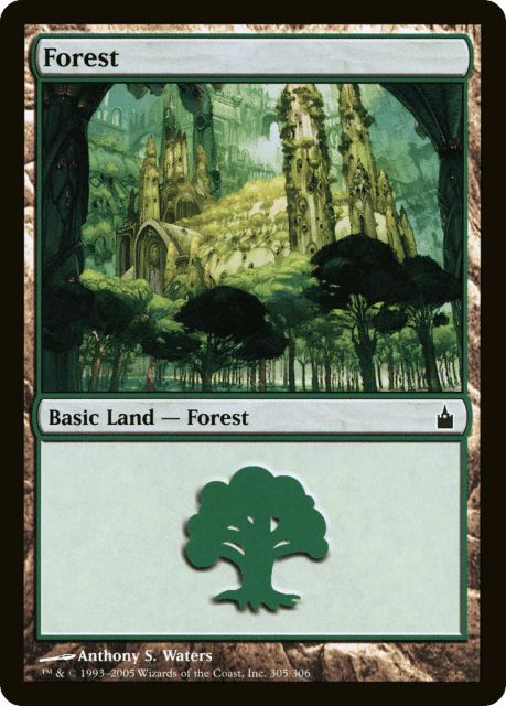 Forest (305) — Ravnica: City of Guilds