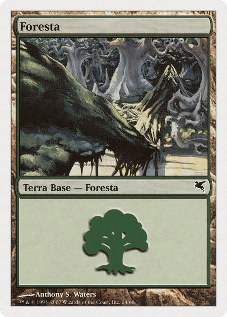 Forest (L24) — Salvat 2005