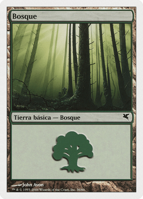 Forest (B36) — Salvat 2005