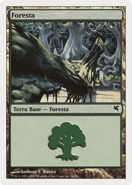 Forest (K56) — Salvat 2005