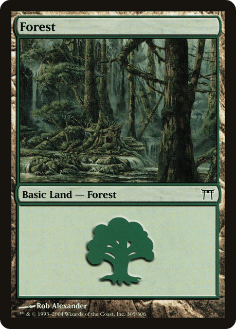 Forest (305) — Champions of Kamigawa