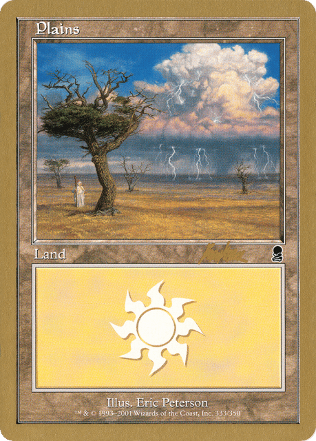 Plains (bk333) — World Championship Decks 2002